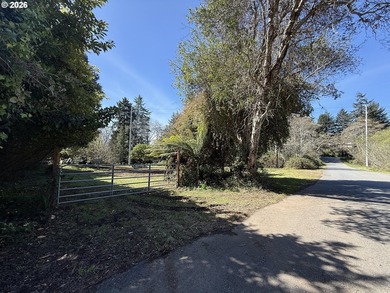 LEVEL HALF-ACRE NEAR HARRIS BEACH - BUILD-READY WITH ROOM TO - photo 8