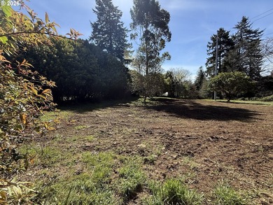 LEVEL HALF-ACRE NEAR HARRIS BEACH - BUILD-READY WITH ROOM TO - photo 10