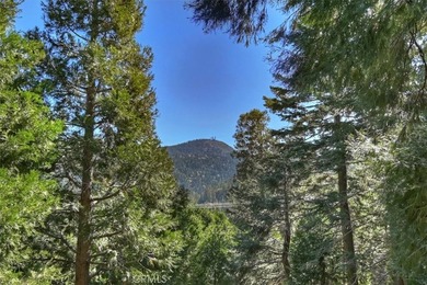 Welcome to a very charming home in the desirable San Moritz - photo 33