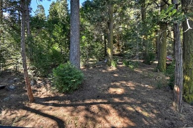 Welcome to a very charming home in the desirable San Moritz - photo 37