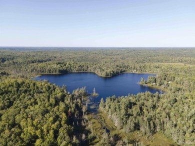 Horseshoe Lake - Marquette County Acreage For Sale in Champion Michigan