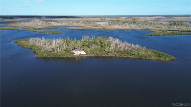 Private Island Offering---Boat Access Only! This is a rare - photo 7