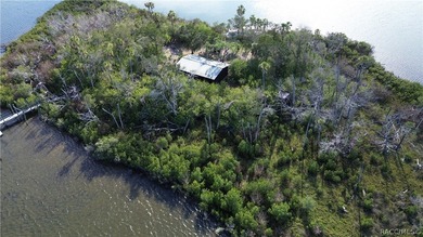Private Island Offering---Boat Access Only! This is a rare - photo 9