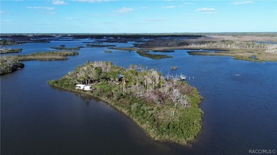 Private Island Offering---Boat Access Only! This is a rare - photo 10