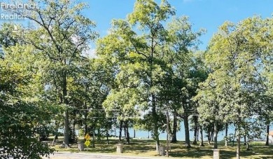 LOCATION!  LOCATION!  LOCATION! Historic Catawba Island SOLD - photo 3
