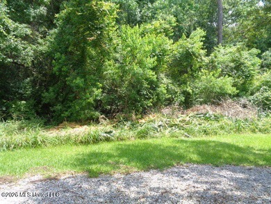 3 acres of High and Dry land not in a flood zone and in the very - photo 1