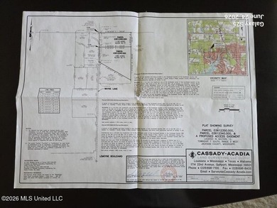 3 acres of High and Dry land not in a flood zone and in the very - photo 2