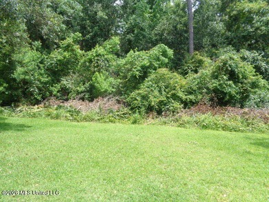 3 acres of High and Dry land not in a flood zone and in the very - photo 3