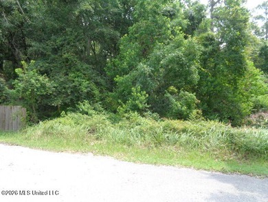 3 acres of High and Dry land not in a flood zone and in the very - photo 4