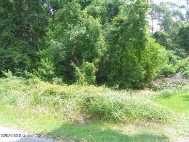 3 acres of High and Dry land not in a flood zone and in the very - photo 5
