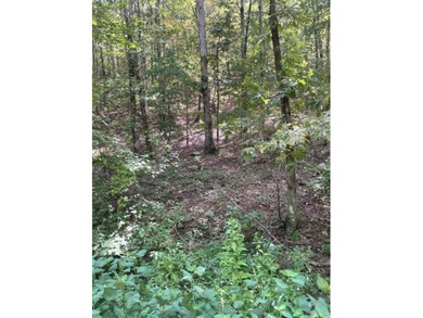Broken Bow Lake Lot For Sale in Broken Bow Oklahoma