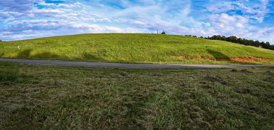 (private lake, pond, creek) Lot For Sale in Decatur Tennessee