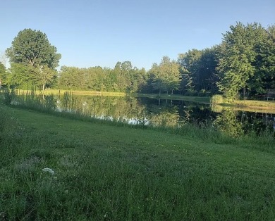 (private lake, pond, creek) Acreage For Sale in Zeeland Michigan