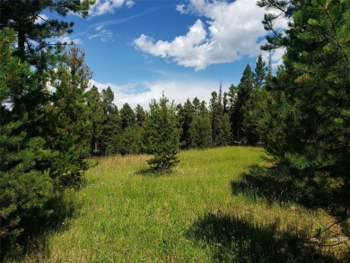 (private lake, pond, creek) Acreage For Sale in Helmville Montana