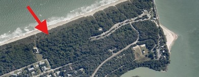 OCEANFRONT LAND COMBINING EXCLUSIVITY WITH ACCESSIBILITY - photo 2