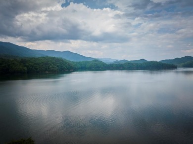 (private lake, pond, coastal) Lot For Sale in Robbinsville North Carolina