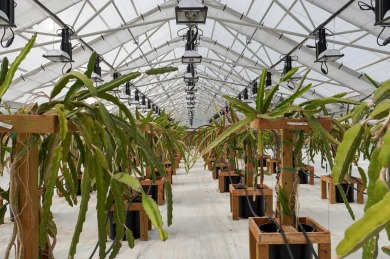 This is an incredible state of the art greenhouse and farm, with