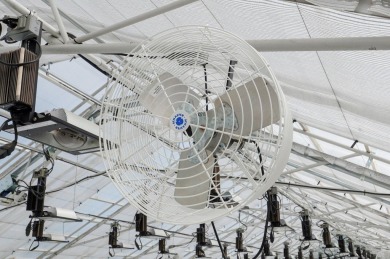 This is an incredible state of the art greenhouse and farm, with