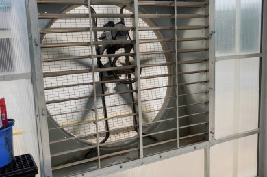 This is an incredible state of the art greenhouse and farm, with