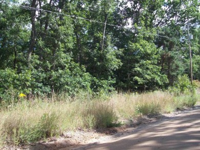 Lily Lake Lot For Sale in Harrison Michigan