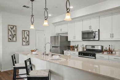 Refreshed & Move-In Ready in Playa Del Sol!Step into this - photo 16