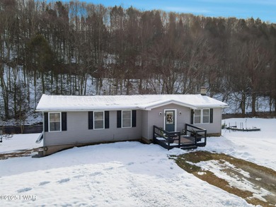 Lake Home For Sale in Honesdale, Pennsylvania