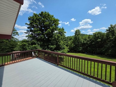 Unique home in sought-after Granville with 2.5 acres of level - photo 42