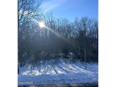 Indian Mountain Lakes Lot For Sale in Effort Pennsylvania