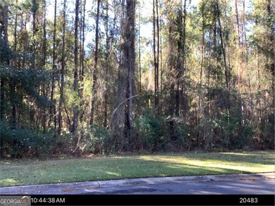 Crooked River Lot For Sale in Woodbine Georgia
