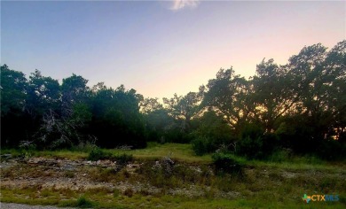 Canyon Lake Lot For Sale in Fischer Texas