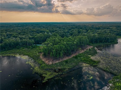 BRING YOUR BUILDER! Approx. 5 ACRE LAKEFRONT BUILDABLE LOT IN - photo 11