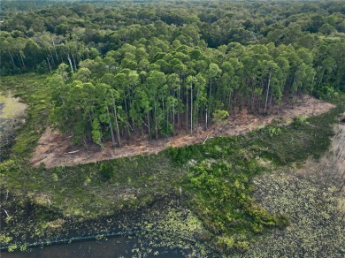 BRING YOUR BUILDER! Approx. 5 ACRE LAKEFRONT BUILDABLE LOT IN - photo 13