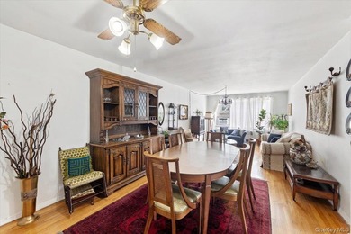 Woodlawn: MOTIVATED SELLER!! One bedroom co-op in immaculate - photo 13