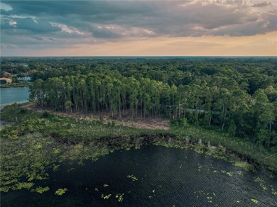 BRING YOUR BUILDER! Approx. 5 ACRE LAKEFRONT BUILDABLE LOT IN - photo 14