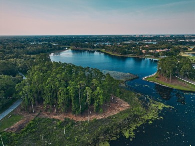 BRING YOUR BUILDER! Approx. 5 ACRE LAKEFRONT BUILDABLE LOT IN - photo 15