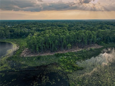 BRING YOUR BUILDER! Approx. 5 ACRE LAKEFRONT BUILDABLE LOT IN - photo 17