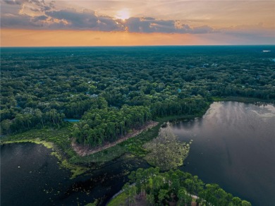 BRING YOUR BUILDER! Approx. 5 ACRE LAKEFRONT BUILDABLE LOT IN - photo 18