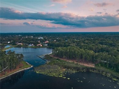 BRING YOUR BUILDER! Approx. 5 ACRE LAKEFRONT BUILDABLE LOT IN - photo 19