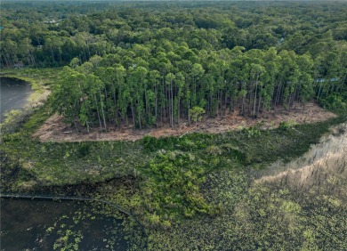 BRING YOUR BUILDER! Approx. 5 ACRE LAKEFRONT BUILDABLE LOT IN - photo 21