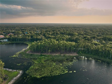 BRING YOUR BUILDER! Approx. 5 ACRE LAKEFRONT BUILDABLE LOT IN - photo 23