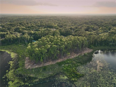 BRING YOUR BUILDER! Approx. 5 ACRE LAKEFRONT BUILDABLE LOT IN - photo 24