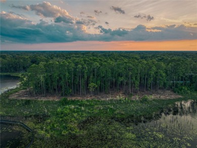 BRING YOUR BUILDER! Approx. 5 ACRE LAKEFRONT BUILDABLE LOT IN - photo 25
