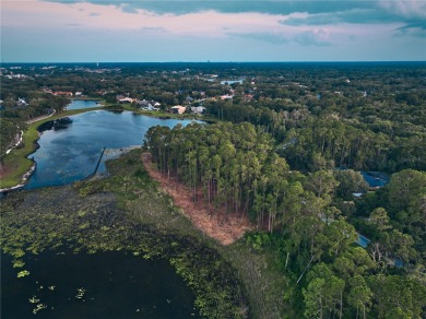 BRING YOUR BUILDER! Approx. 5 ACRE LAKEFRONT BUILDABLE LOT IN - photo 27