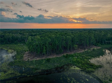 BRING YOUR BUILDER! Approx. 5 ACRE LAKEFRONT BUILDABLE LOT IN - photo 28