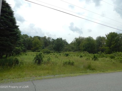 (private lake, pond, coastal) Lot For Sale in Gouldsboro Pennsylvania
