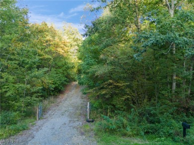 Lake Milton Acreage For Sale in Lake Milton Ohio