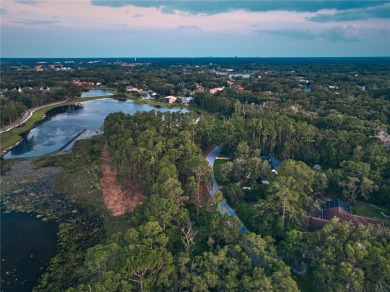 BRING YOUR BUILDER! Approx. 5 ACRE LAKEFRONT BUILDABLE LOT IN - photo 32