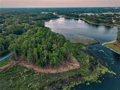 BRING YOUR BUILDER! Approx. 5 ACRE LAKEFRONT BUILDABLE LOT IN - photo 34