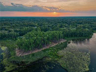 BRING YOUR BUILDER! Approx. 5 ACRE LAKEFRONT BUILDABLE LOT IN - photo 35