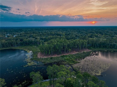 BRING YOUR BUILDER! Approx. 5 ACRE LAKEFRONT BUILDABLE LOT IN - photo 36